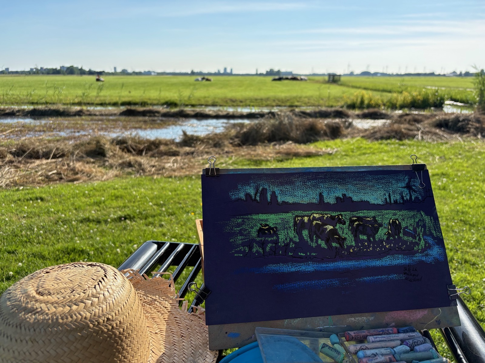 Weidepad Maasland, 2026 - pastel en inkt op papier, 20 x 35 cm.jpg